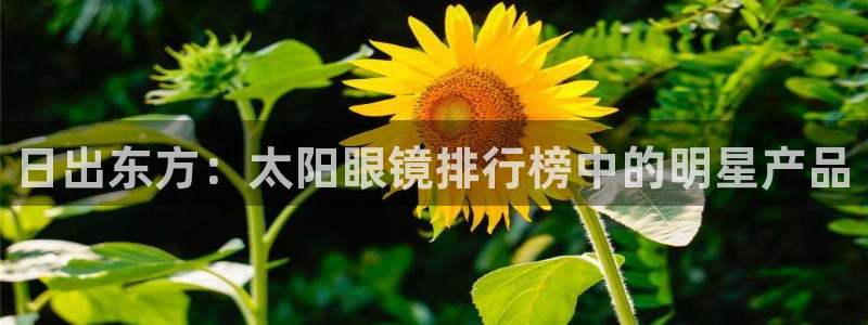 新宝5下载网址