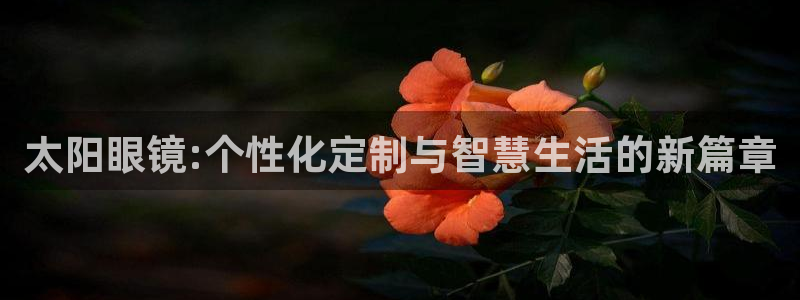新宝5娱乐平台