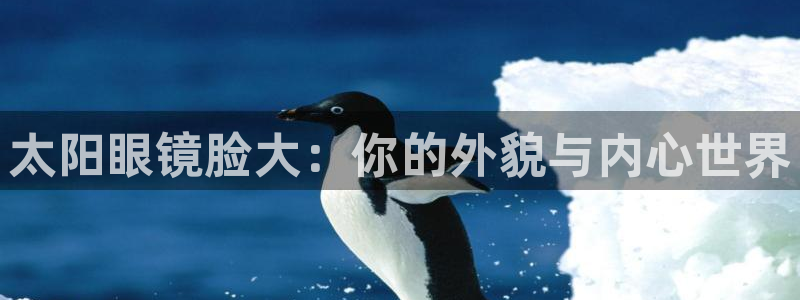 股票5G宝新