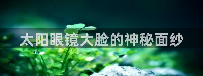 新宝5苹果手机下载