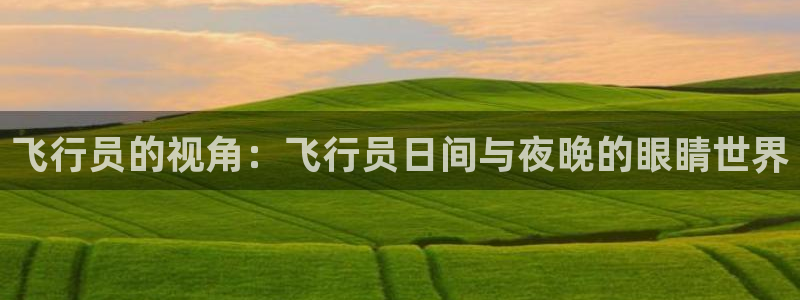 新宝5app
