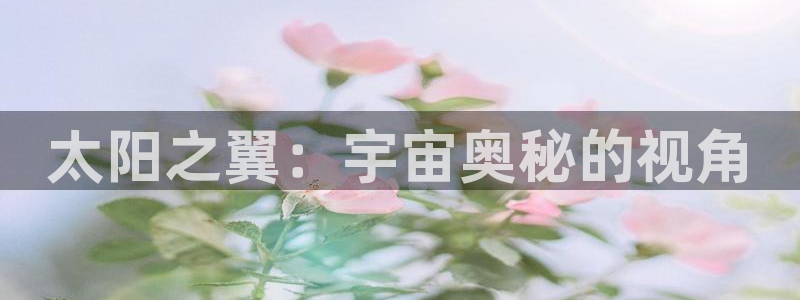 新宝5户端