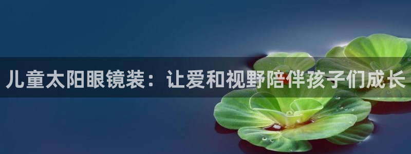 新宝股东瞧听2 5 5