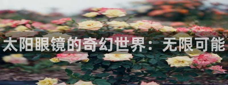 新宝5网