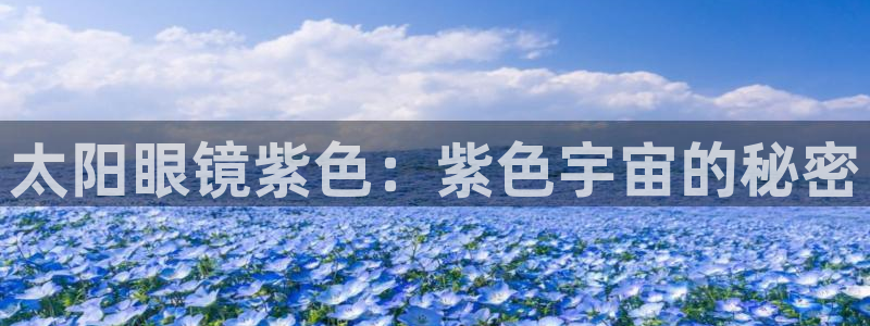 新宝h2O5O5O