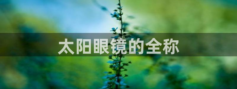 新宝5 代理