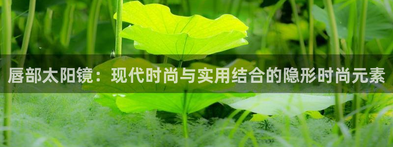 新宝5口67五壹叁八