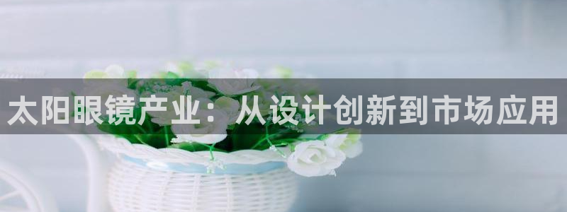 新宝股东瞧听2 5 5