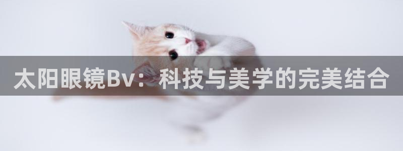 新宝5手机平台登陆