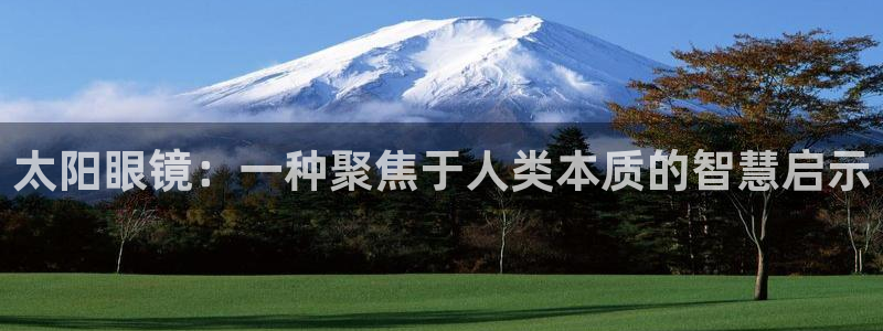 新宝5手机平台登陆