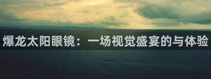 新宝股东王听2 5 5