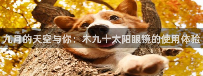 新宝5怎么下载到桌面