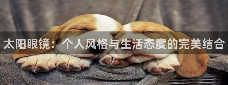 新宝5新宝6顺达