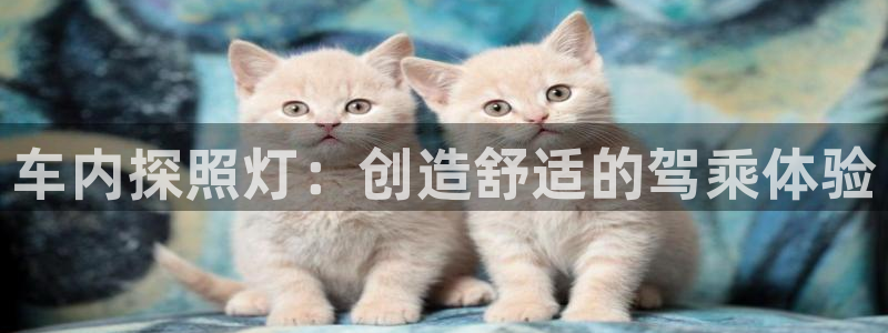 新宝股东瞧听2 5 5