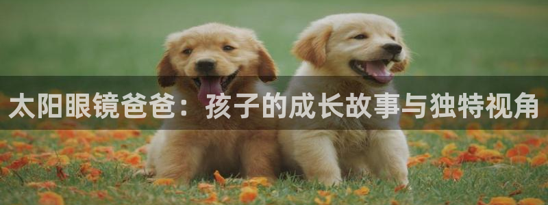 新宝5下载测试