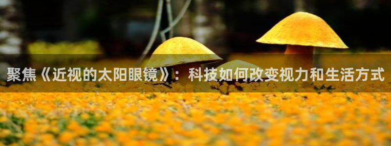 新宝5网站