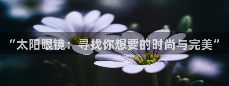 新宝5 - 测速登陆
