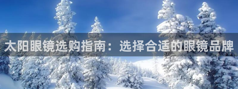 新宝5日
