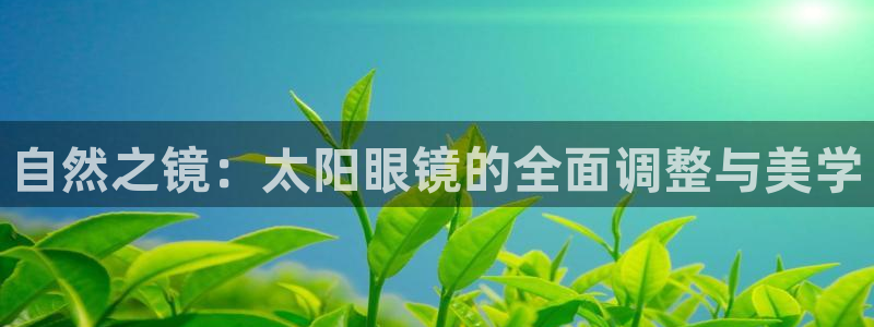 新宝5是谁