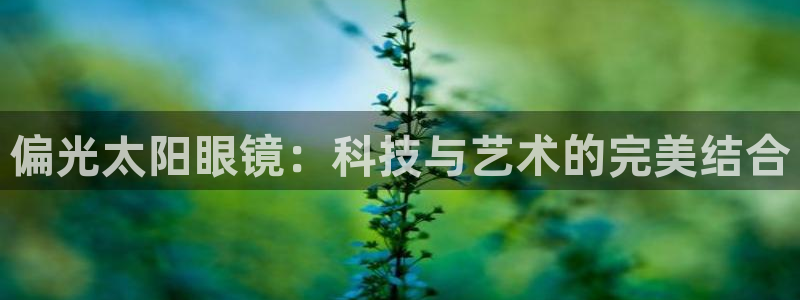 新宝5是什么