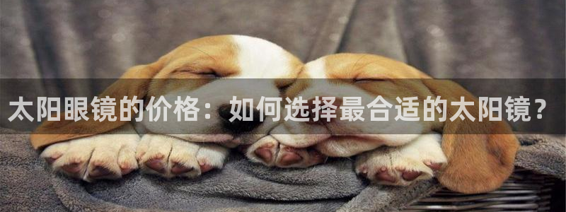 新宝5玩法