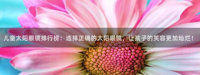 新宝5总代