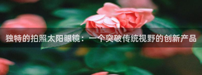 新宝娱乐5