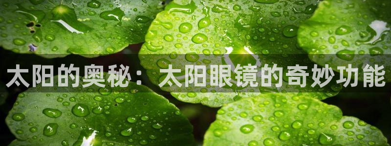 新宝5测速下载