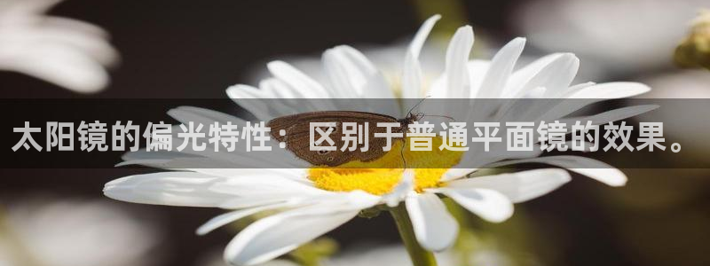 新宝5导师