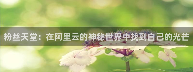 新宝5手机app