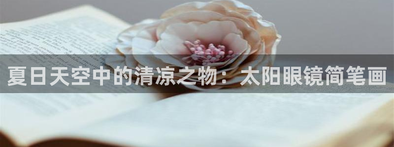 新宝5系列